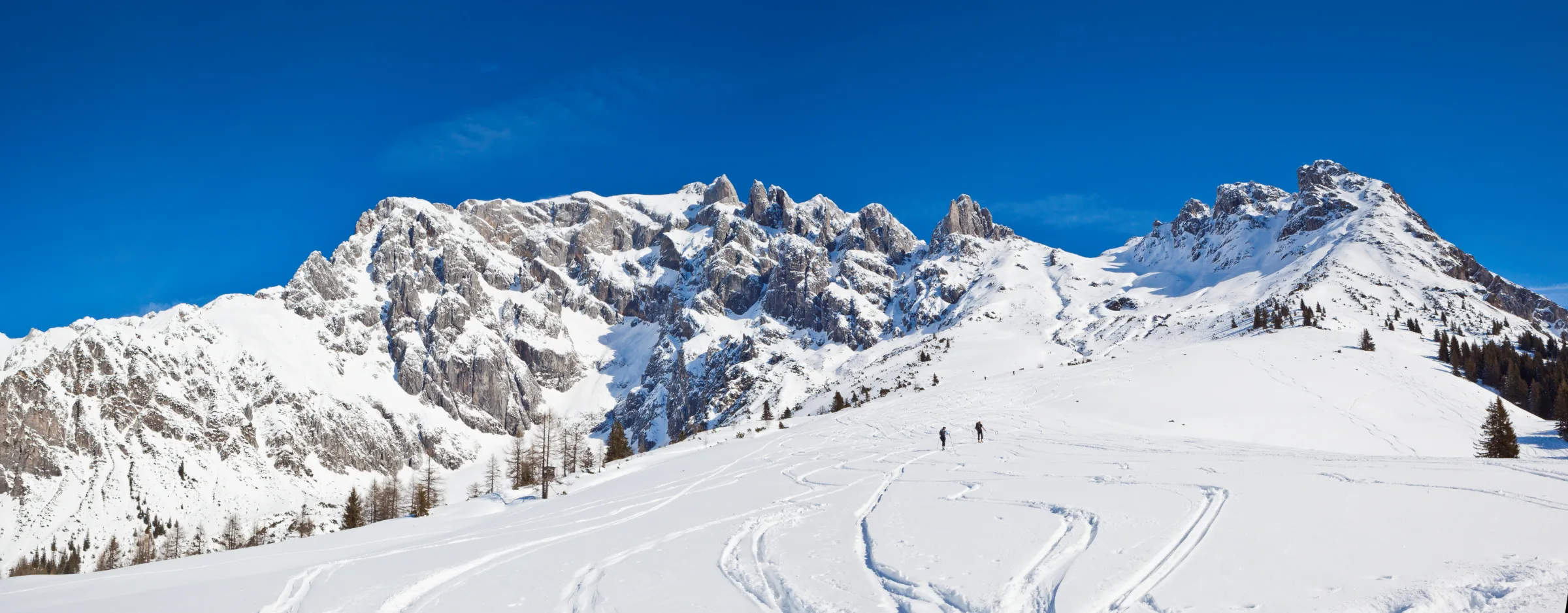 Homepage-Bild 8