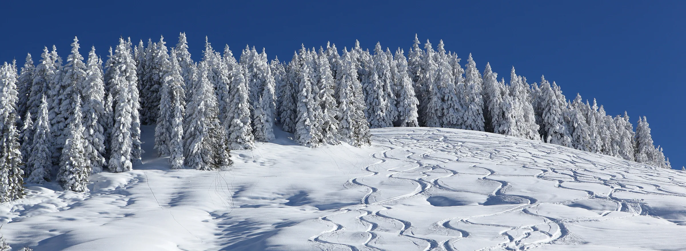Homepage-Bild 8