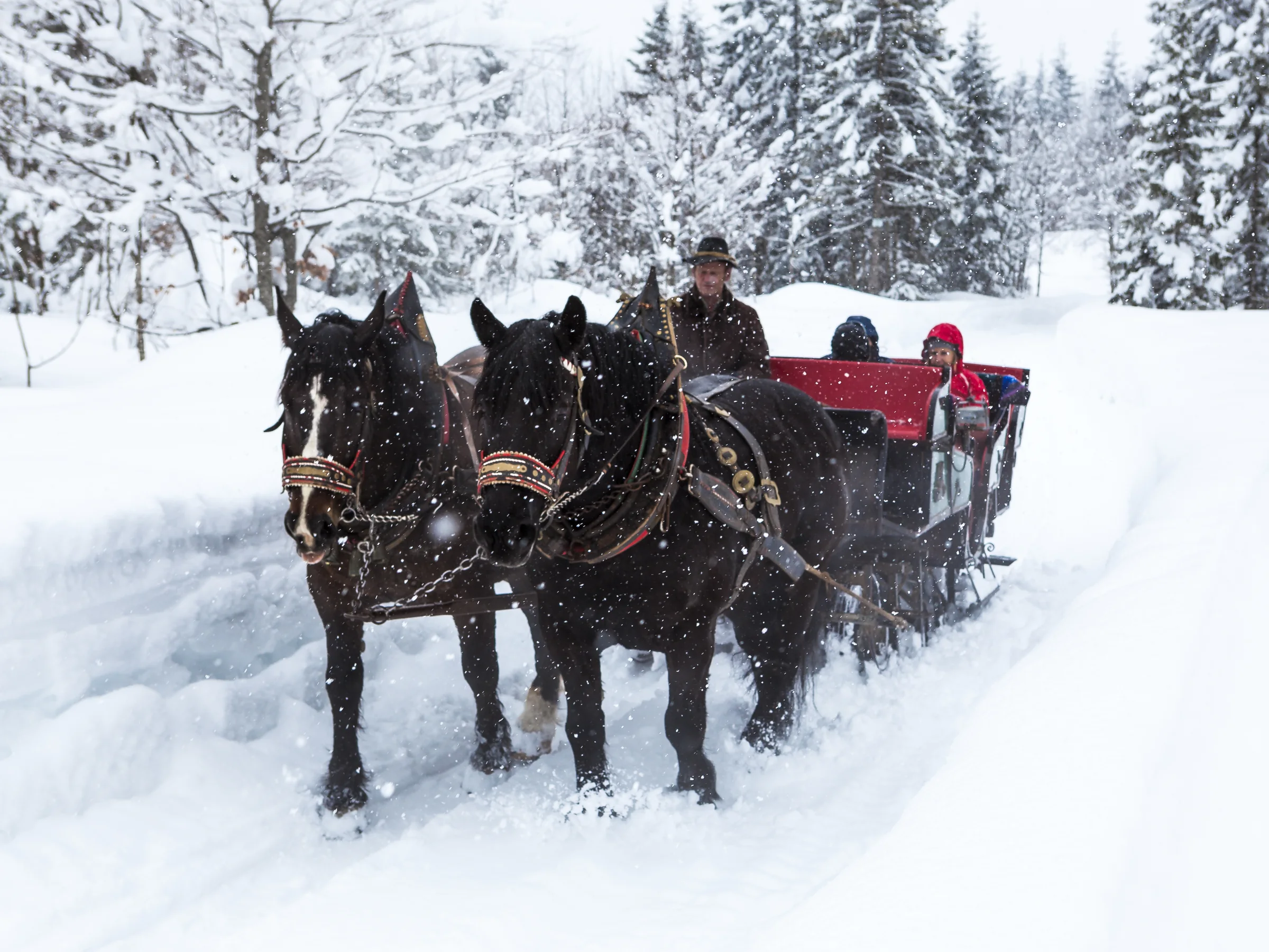 Auch im Winter zusätzliche Vorteile nutzen – Winterausflug, Fußgänger-Bergbahn, Schneeschuh- oder Familienmotiv