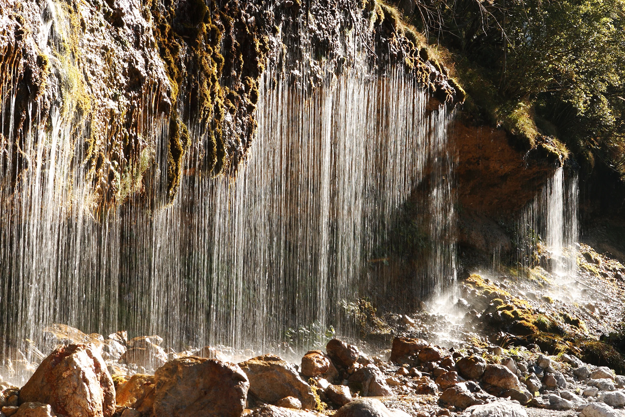 Wandern am Hochkönig – Triefen in Hinterthal oder Naturdetail