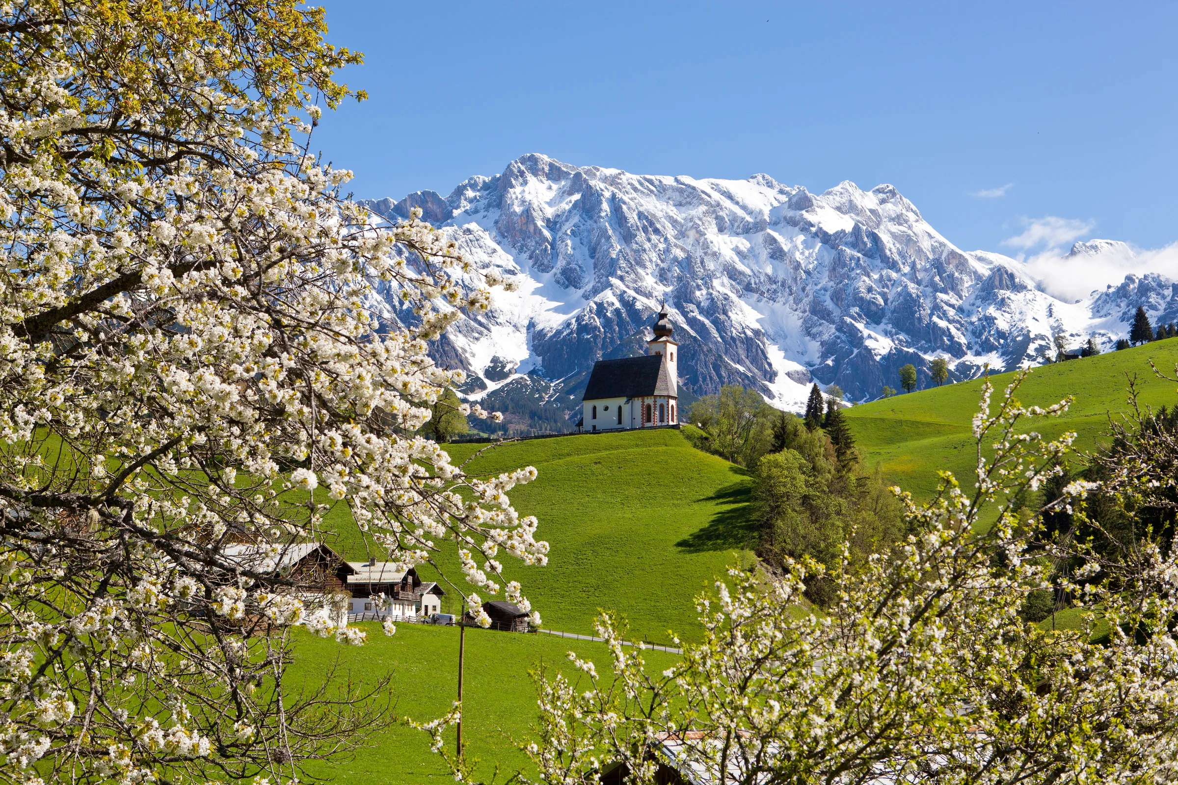 Wandern am Hochkönig – Alm, Familienwanderung oder Aussicht